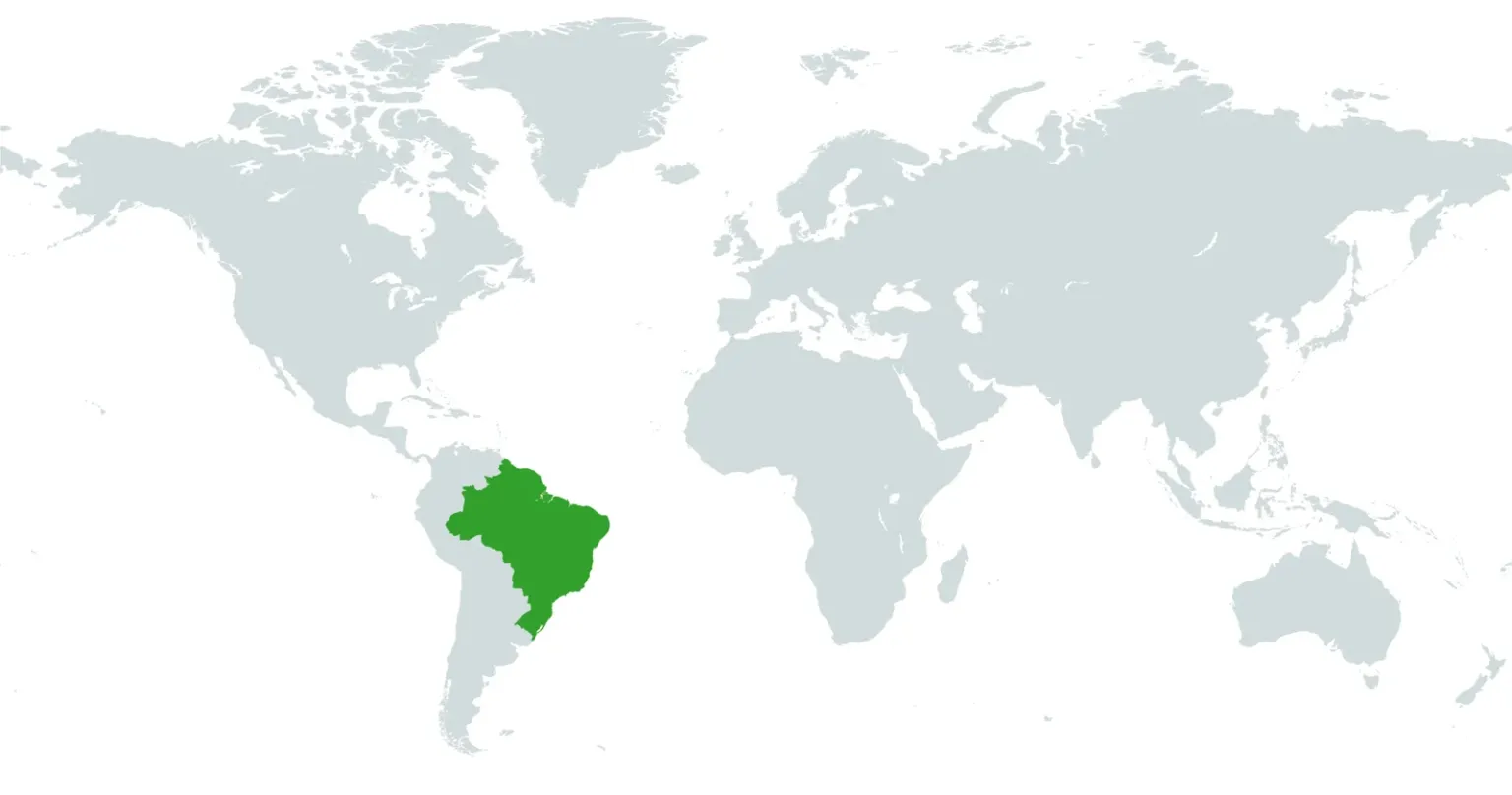 Mapa Geográfico