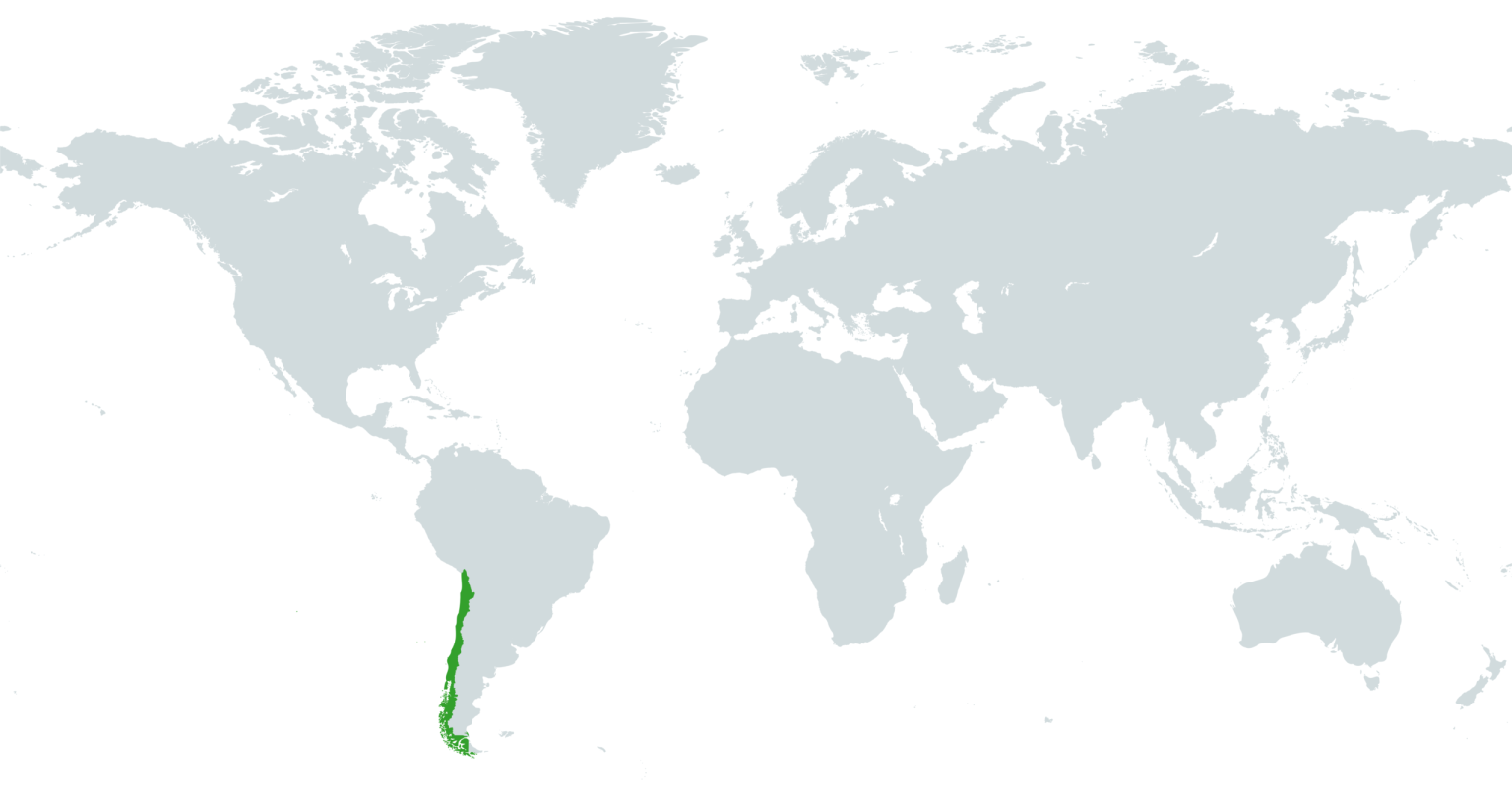 Mapa Geográfico