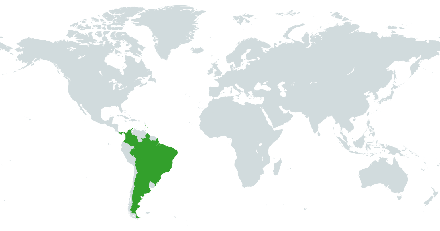 Mapa Geográfico