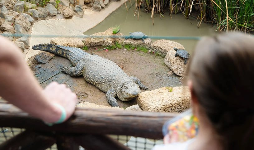 Planificación de Visita